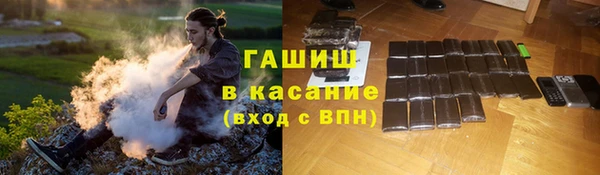 сатива Приозерск
