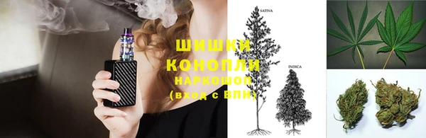 индика Покров