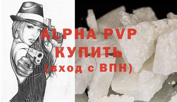 стаф Покачи