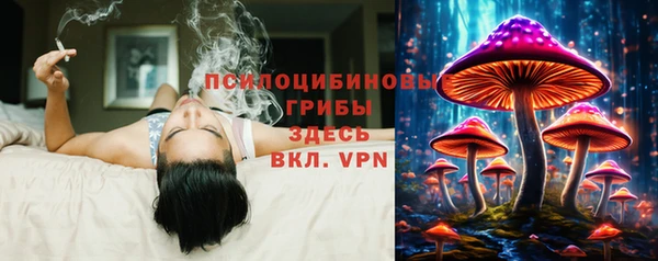 сатива Приозерск