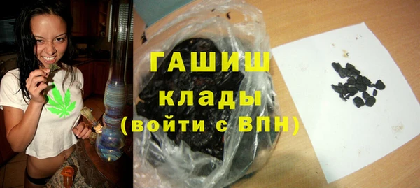 стаф Покачи