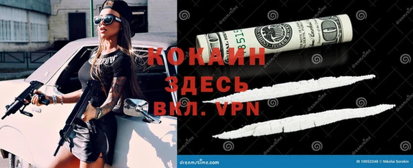 стаф Покачи