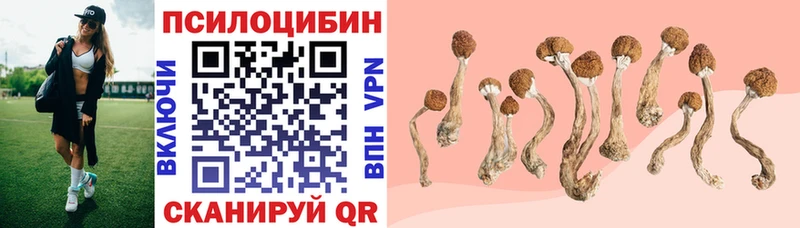 hydra онион  Алупка  это формула  купить  цена  Псилоцибиновые грибы GOLDEN TEACHER 